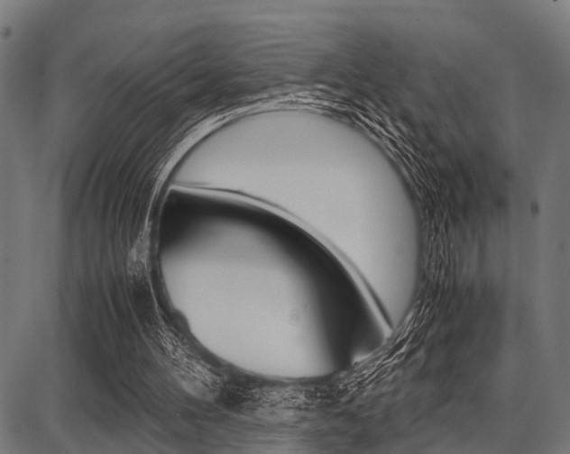 X0000087670100200705040735