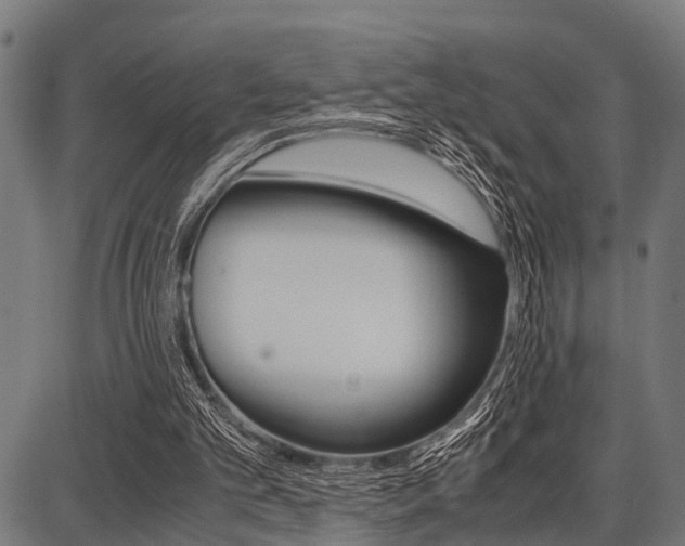 X0000087670101200705040735