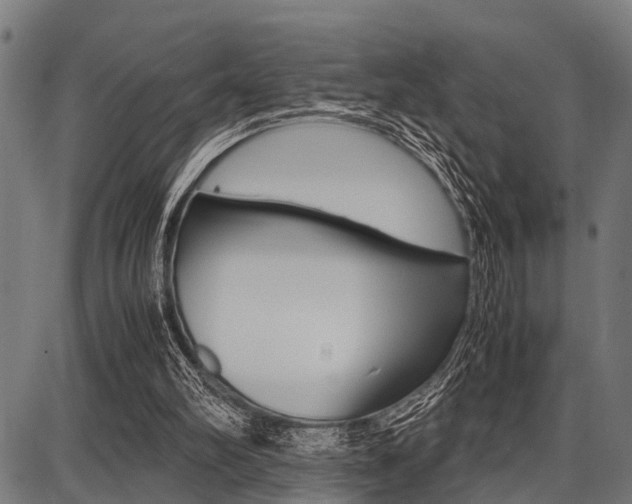 X0000087670102200705040735