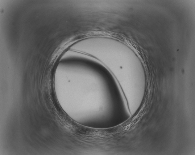 X0000087670103200705040735