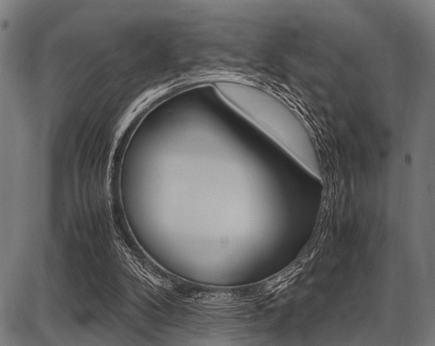 X0000087670104200705040735