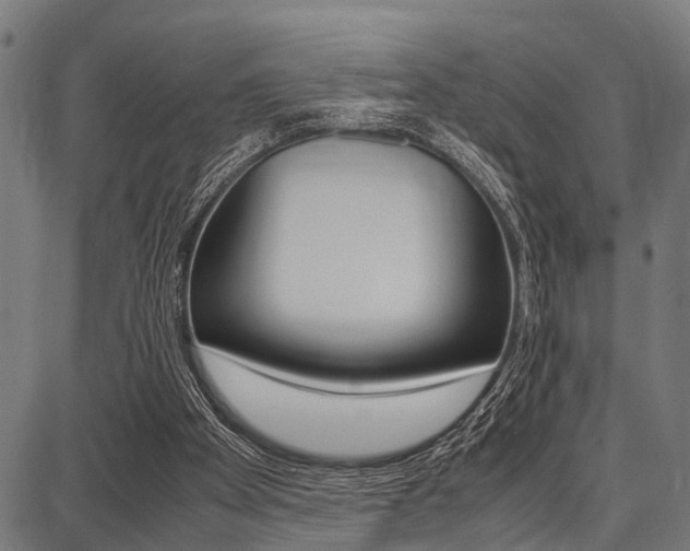 X0000087670105200705040735