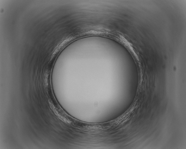 X0000087670106200705040735