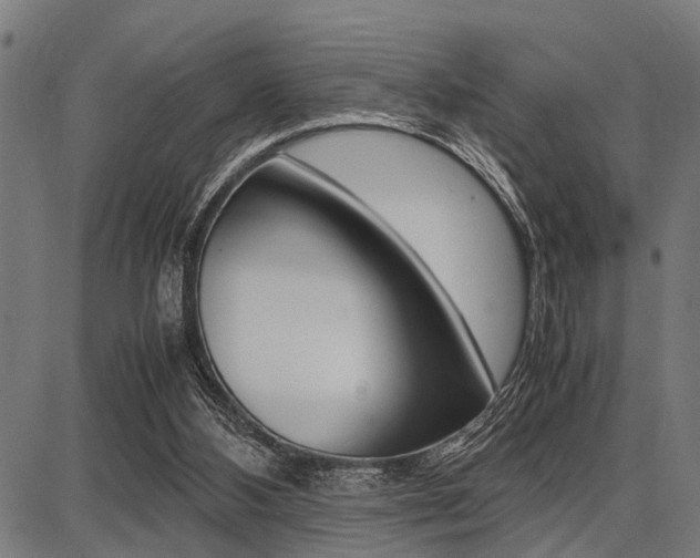 X0000087670108200705040735