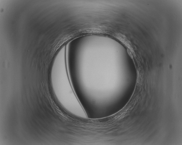 X0000087670109200705040735