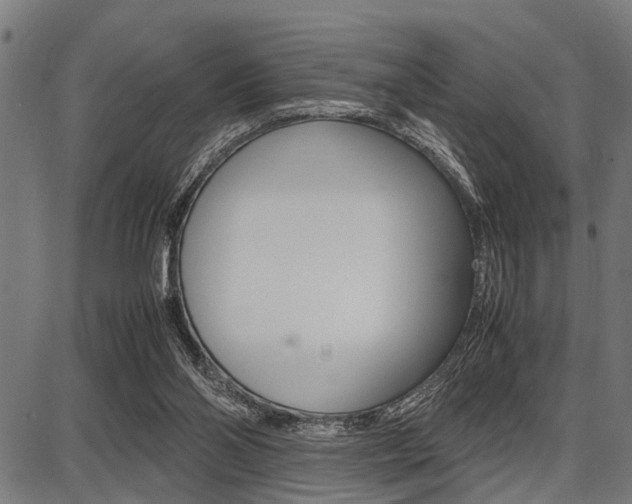 X0000087670110200705040735