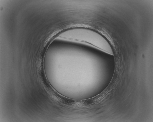 X0000087670111200705040735