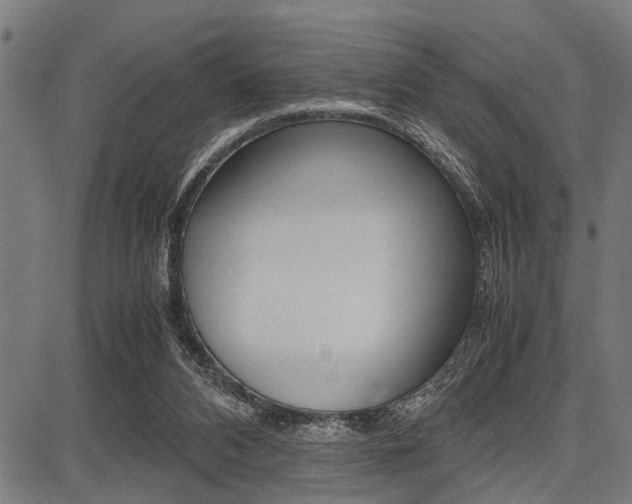 X0000087670112200705040735