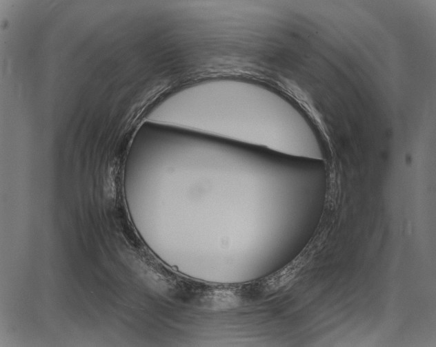 X0000087670114200705040735