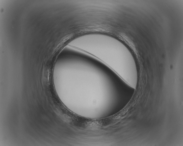 X0000087670115200705040735