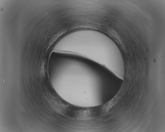 X0000087670116200705040735