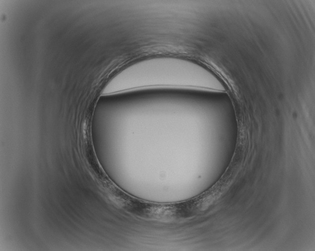 X0000087670117200705040735