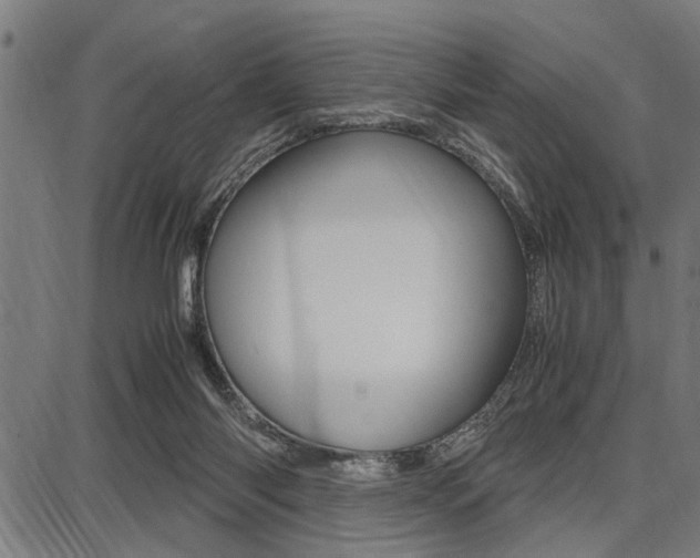 X0000087670118200705040735