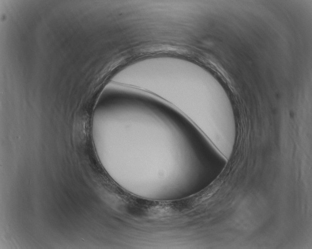 X0000087670119200705040735