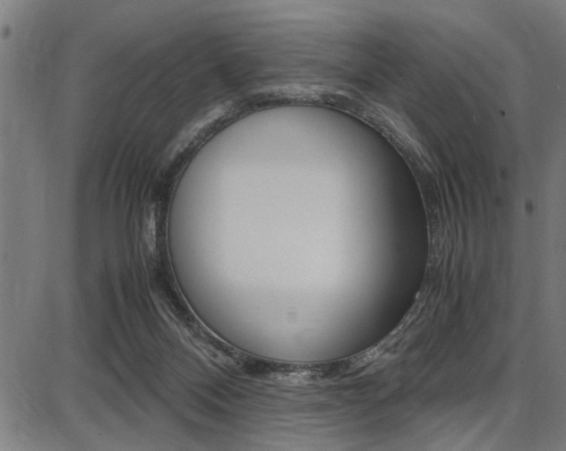 X0000087670120200705040735