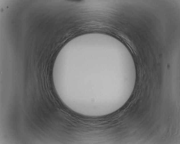 X0000087670121200705040735