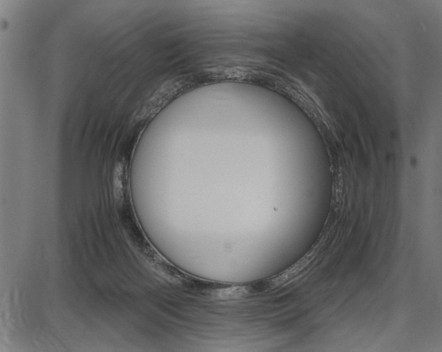 X0000087670122200705040735