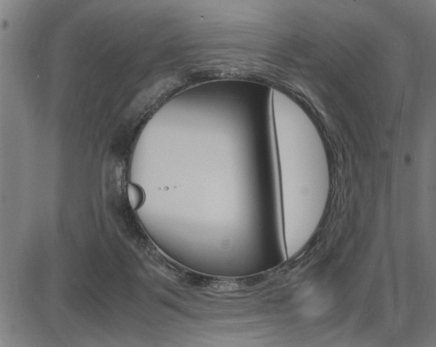 X0000087670123200705040735