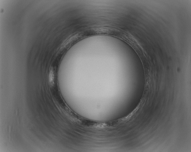 X0000087670124200705040735