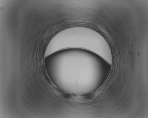 X0000087670125200705040735