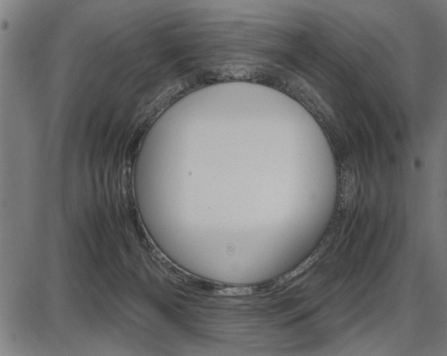 X0000087670126200705040735