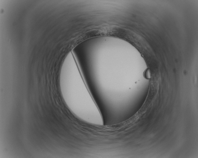 X0000087670127200705040735