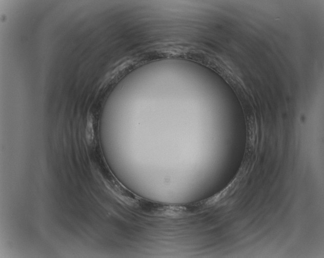 X0000087670128200705040735