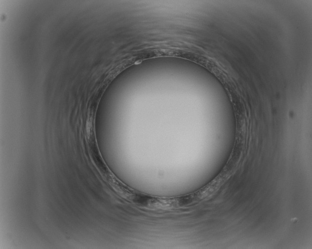 X0000087670129200705040735