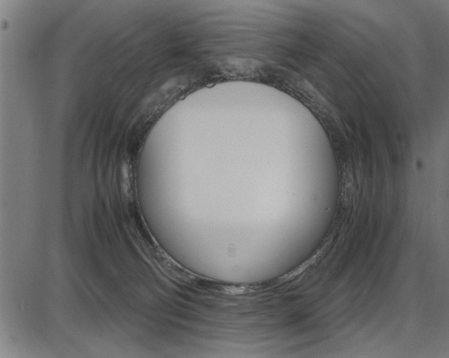 X0000087670130200705040735