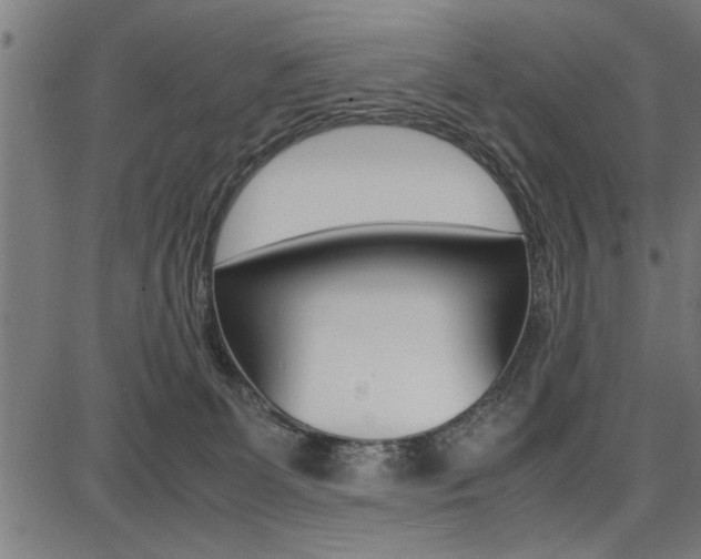 X0000087670131200705040735