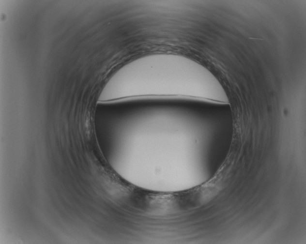 X0000087670132200705040735