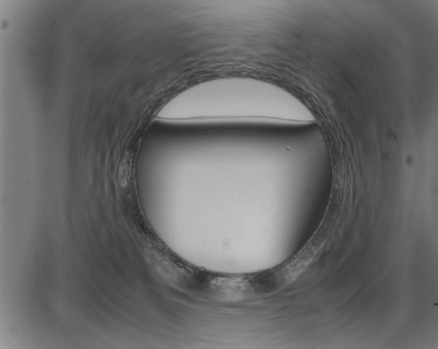 X0000087670133200705040735