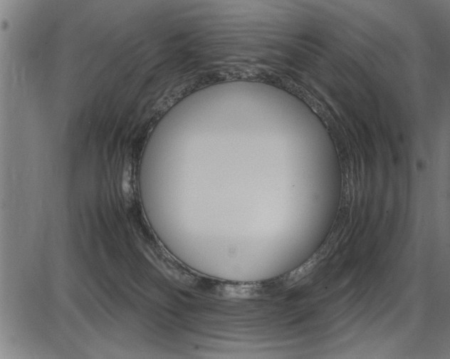 X0000087670134200705040735