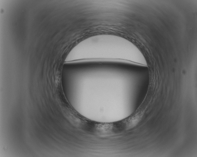 X0000087670135200705040735