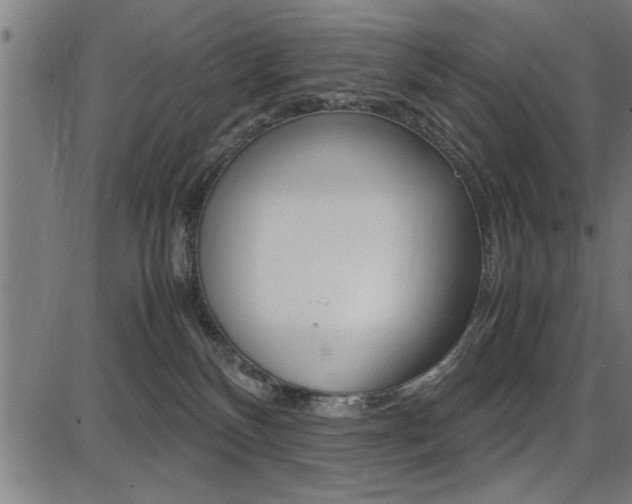 X0000087670136200705040735