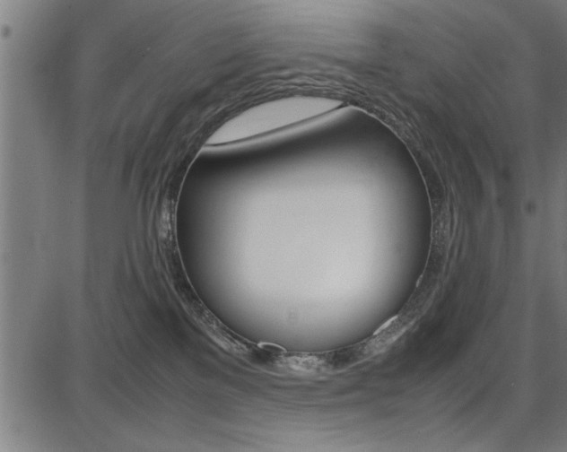 X0000087670137200705040735