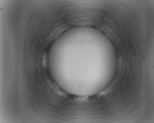 X0000087670138200705040735