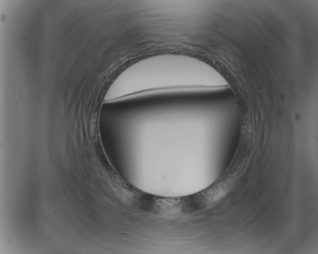 X0000087670139200705040735