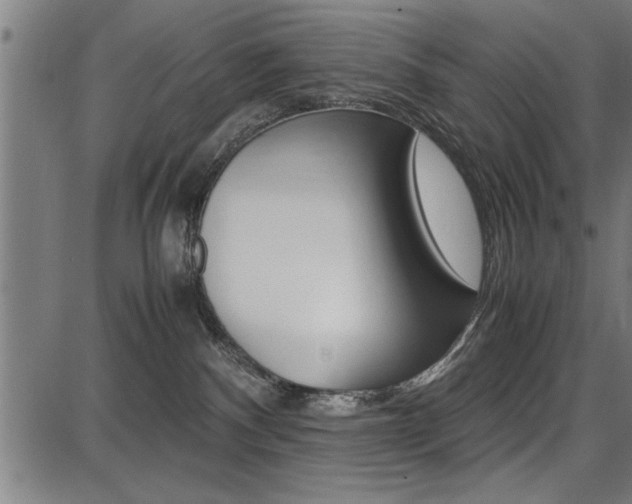 X0000087670140200705040735