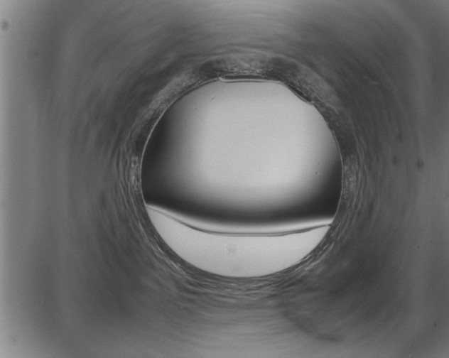 X0000087670141200705040735