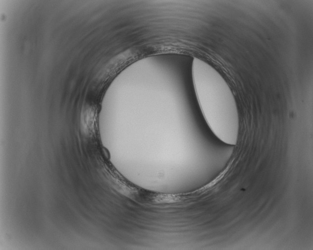 X0000087670142200705040735