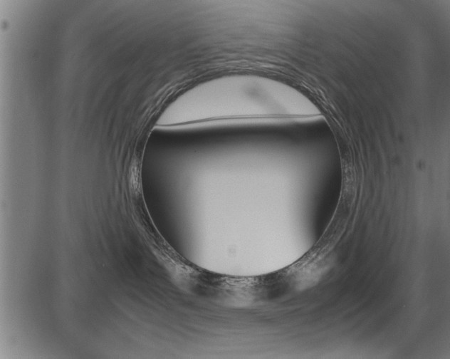 X0000087670143200705040735