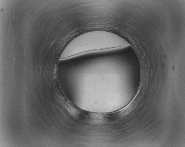 X0000087670144200705040735