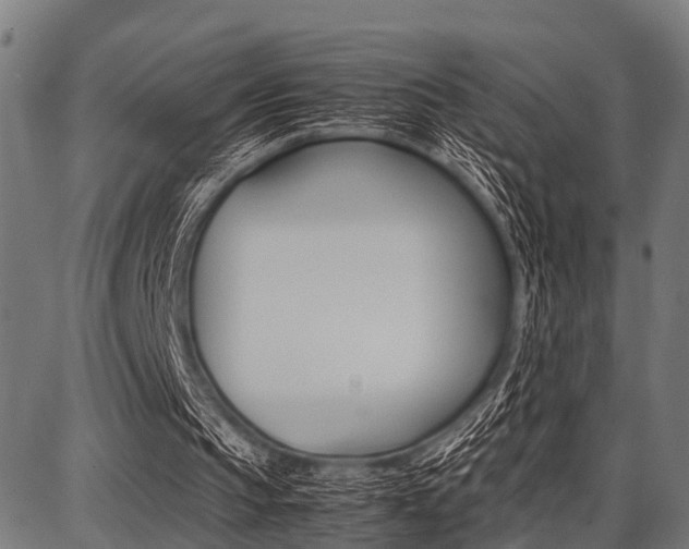 X0000087670145200705040734