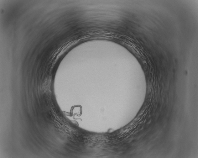 X0000087670146200705040734