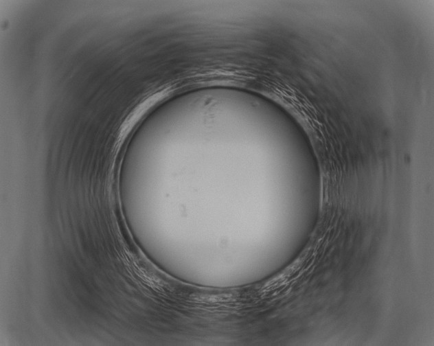 X0000087670147200705040734