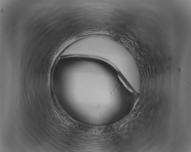 X0000087670148200705040734