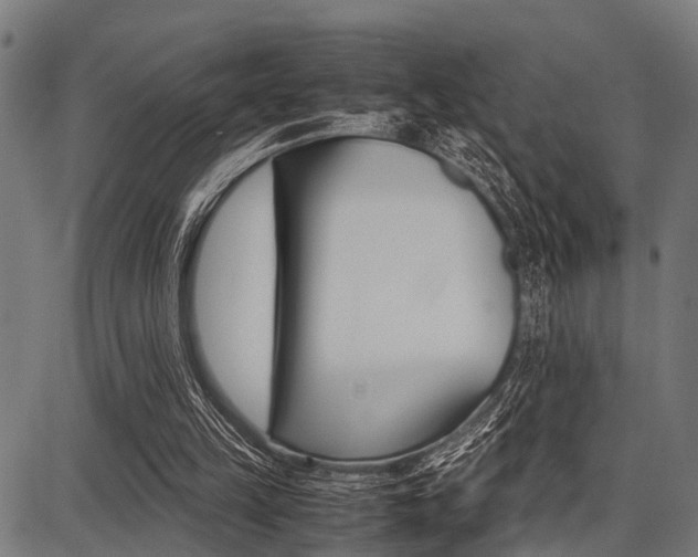 X0000087670149200705040734