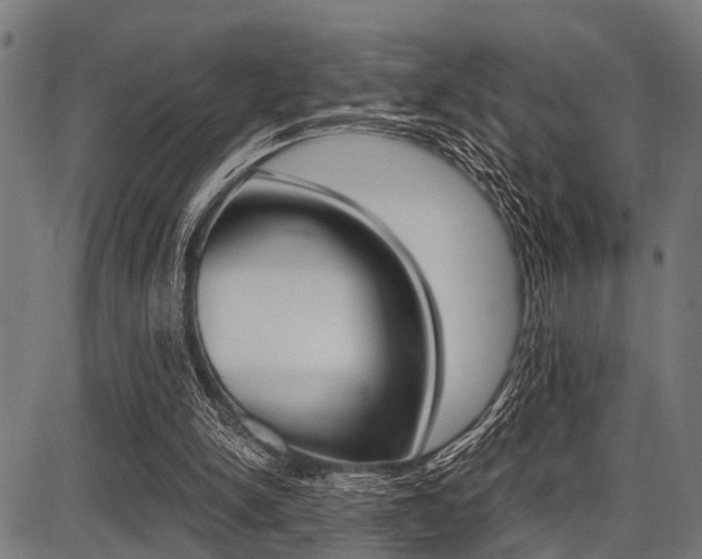 X0000087670150200705040734