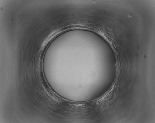 X0000087670151200705040734